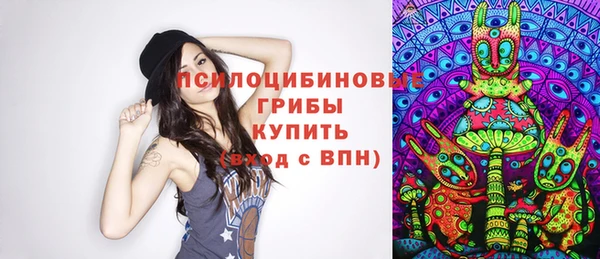 МДМА Козловка